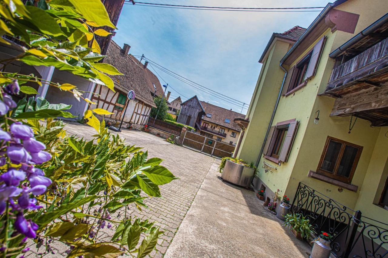 Gite Le Coeur D'Alsace Boofzheim Экстерьер фото